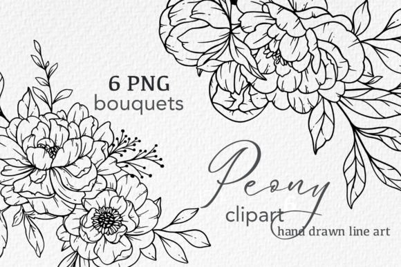 Download Floral Line Art, PEONY Line Drawing - Peony Collection