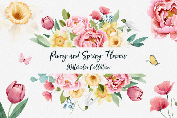 Download Watercolor Peony and Spring Flowers - Peony Collection