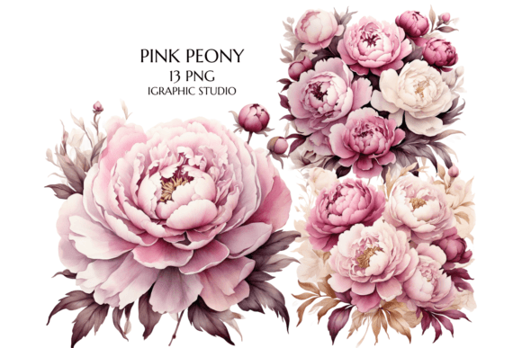 Download Pink Peony Clipart, Peonies Png - Peony Collection