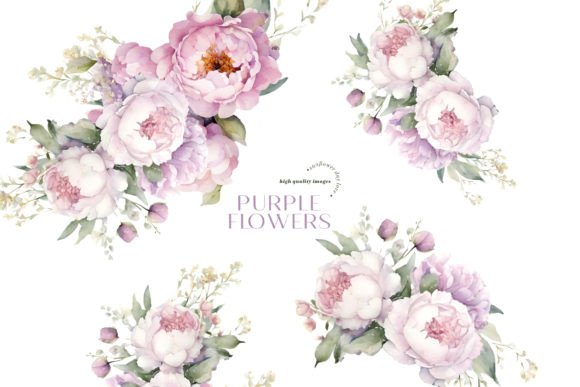 Download Purple Peony Flowers Clipart - Peony Collection